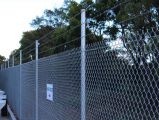 Chain Link Fence