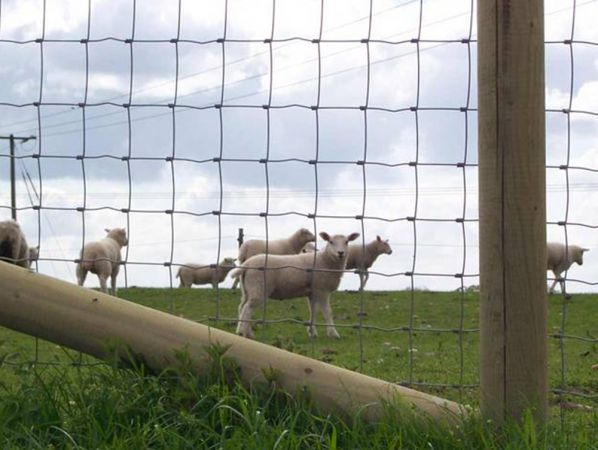 Hinge Knot Farm Fence