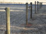 Hinge Knot Farm Fence