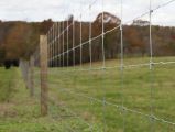 Fixed Knot Farm Fence