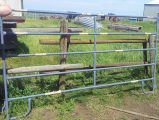 Cattle Panel