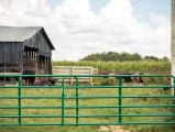 Farm Gate